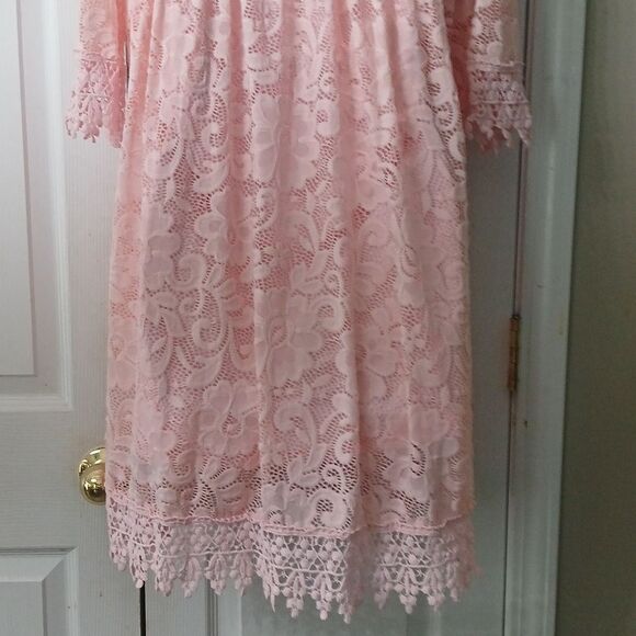 Chasing Fireflies girls pink lace dress  Sz XL (14/16) NWOT - Picture 5 of 7
